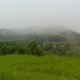 The Hamirpur district, in which the study village is located, lies in the Siwalik range.